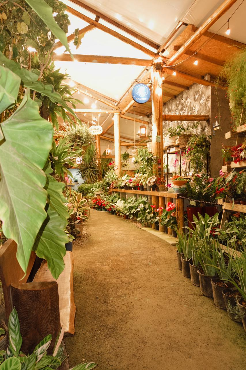 Papilas Famintas restaurante na floricultura em Barra Velha SC